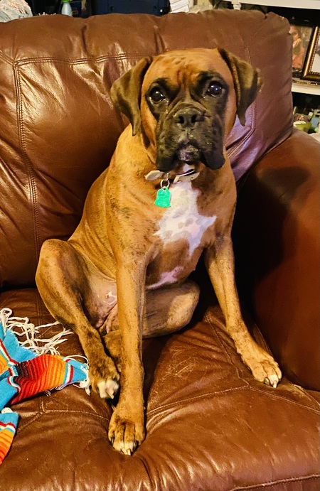 Marley 
