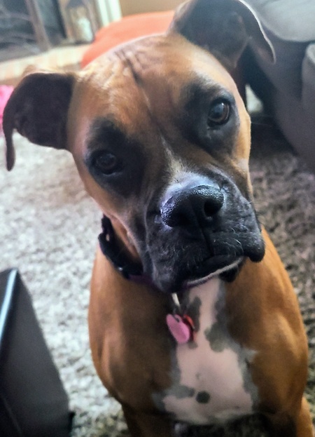 Lily