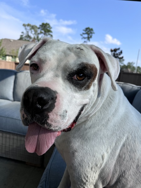 Jax