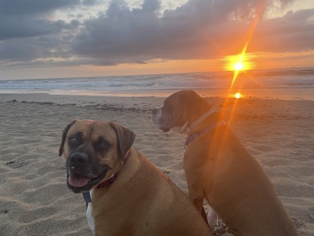 Duke and Mo