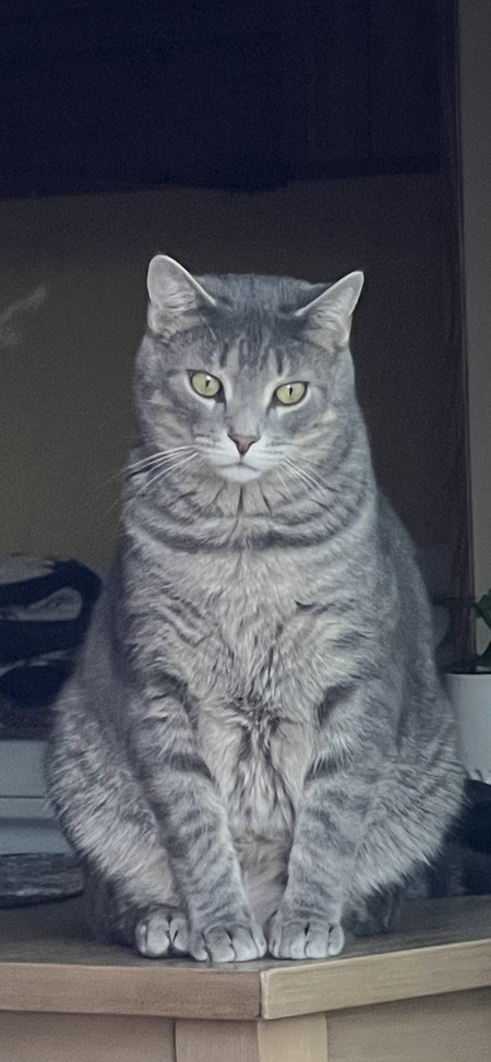Vincent 