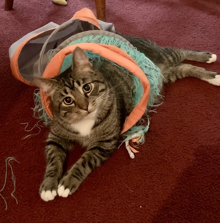 Oliver