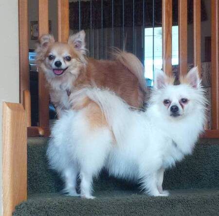DaisyMae & Charlie