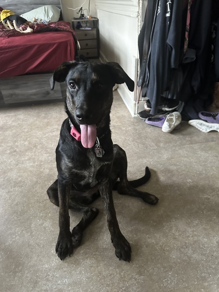 Luna 