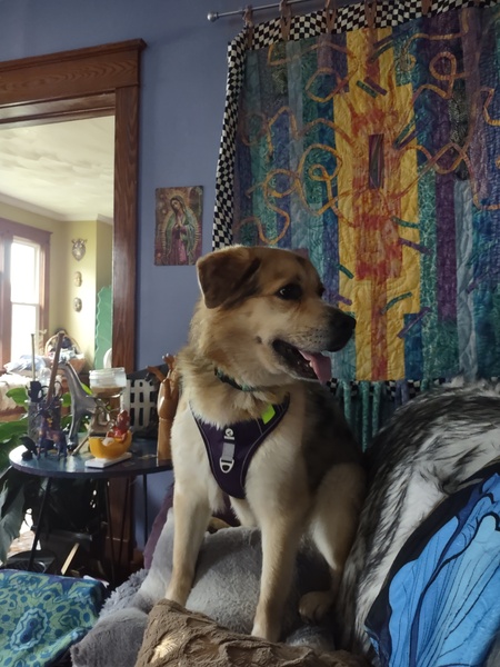 Ripley Spotzky Gilligan 