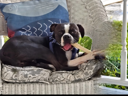 Buster