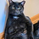 Entry image for Luke