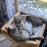 Entry image for Cali and Milo