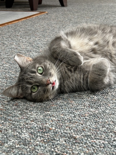 Tater