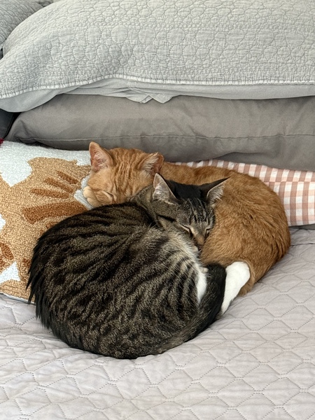 Mila and Calvin