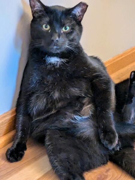 Entry image for Luke. Clicking this image will show a larger photo