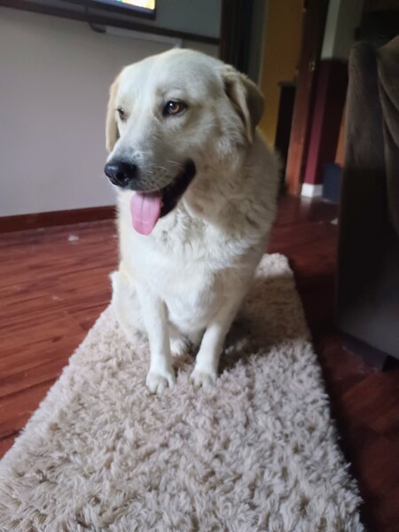 Murrie AKA Mura