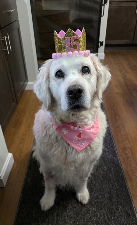 Daisy