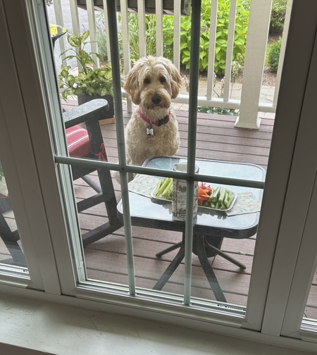 Molly