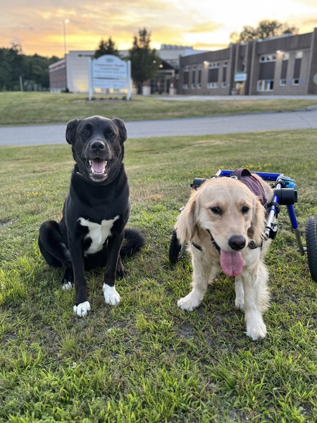 Eldred & Lola 