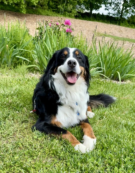 Winni (FKA Patch)