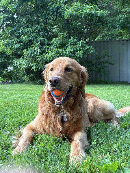 Wally