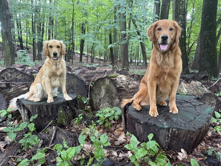 Quinn & Enzo