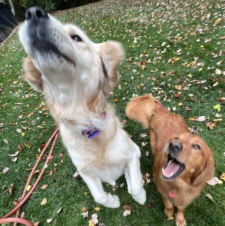 Trixie and Kendra-Betsy