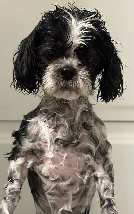 Macie Mae 