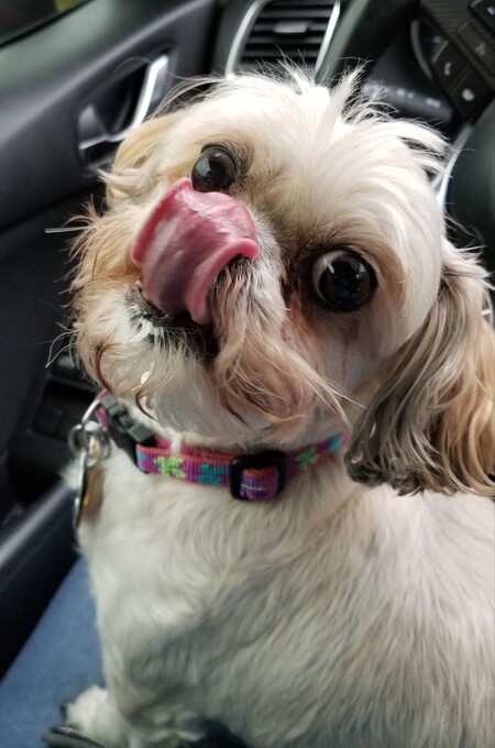 Annabelle aka The Foo