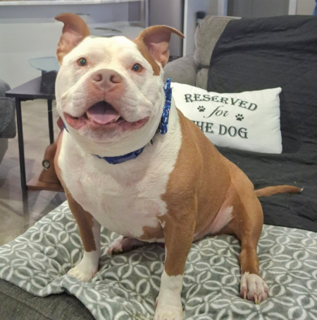 Sir Bentley James