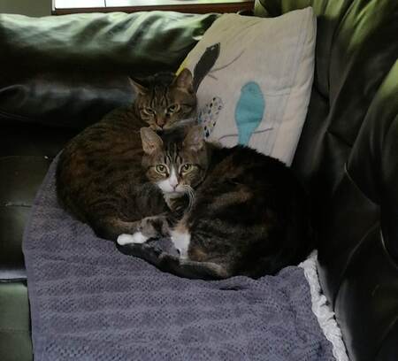 Belle and Reggie