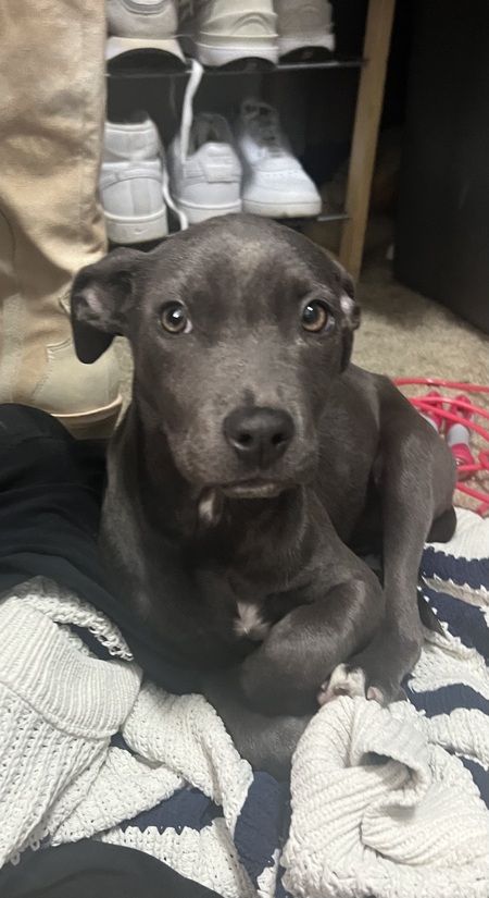 Little Girl