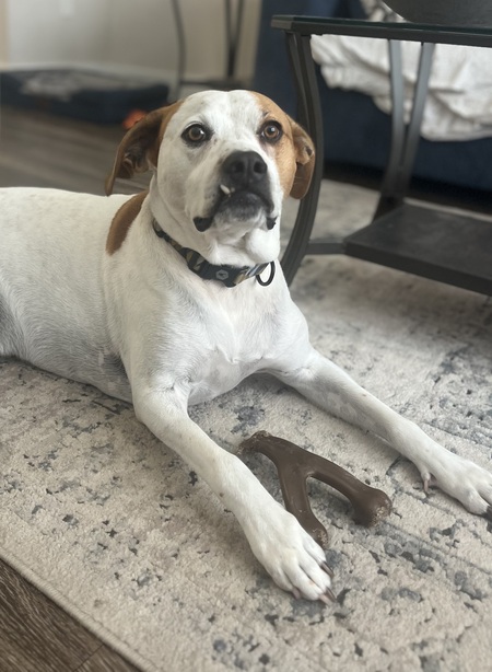 Max