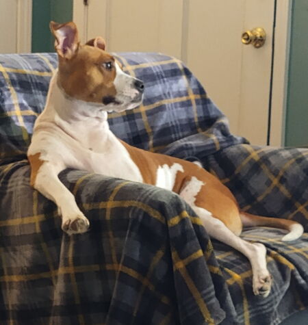 Lola