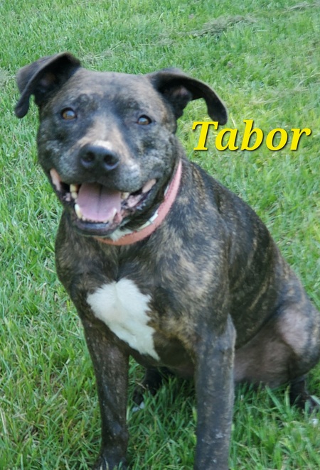 Tabor