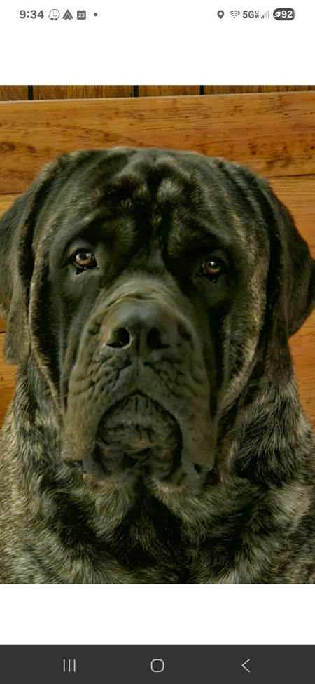 HUMPHREY 