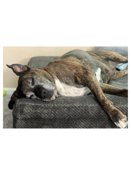 Rozi