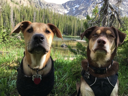 Bowser and Ranger