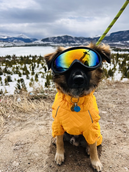 Bryce