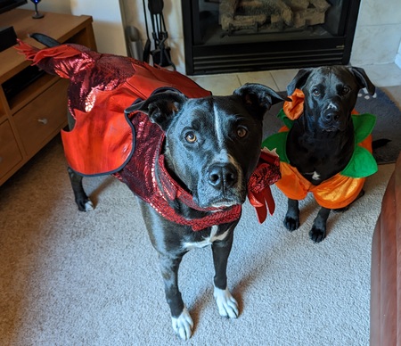 Jackson and Lexi