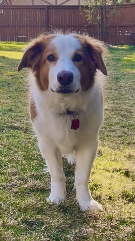 Walter