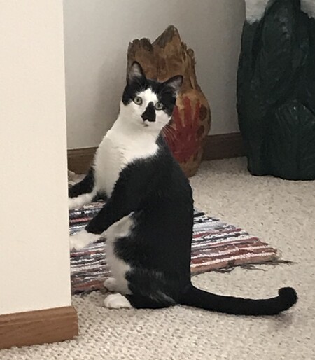 Binx