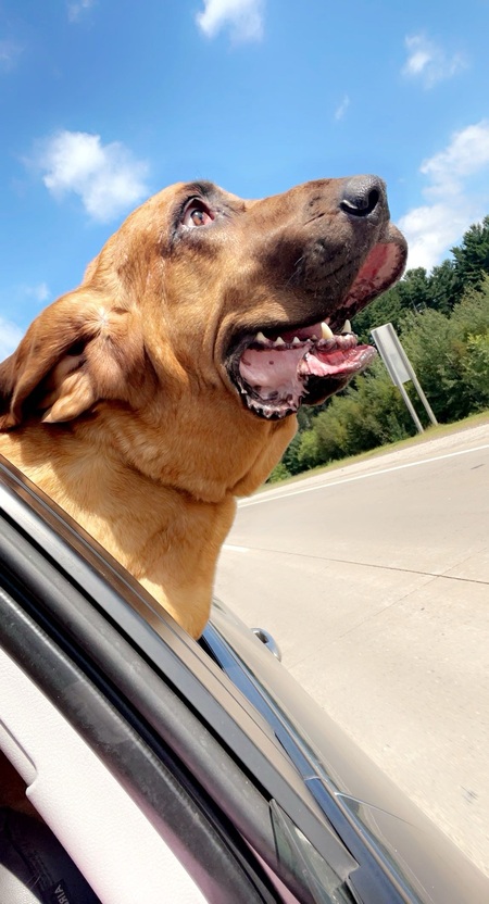 Tank