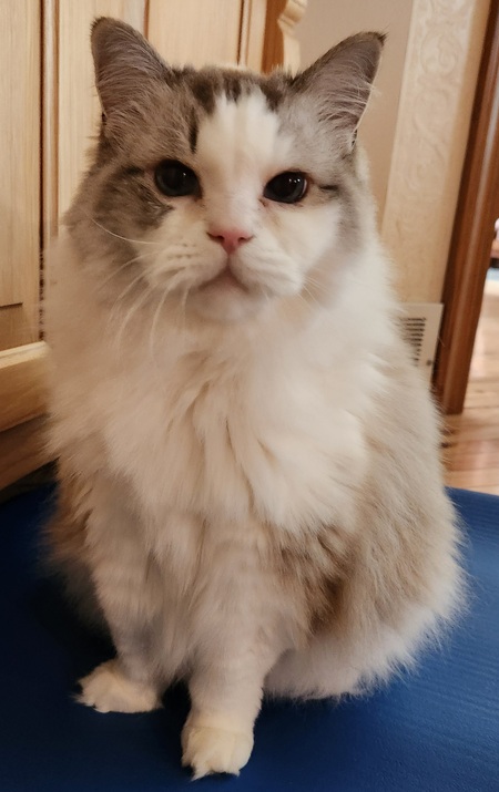 Olivia