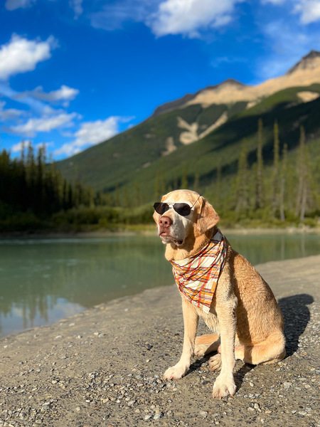 Milo