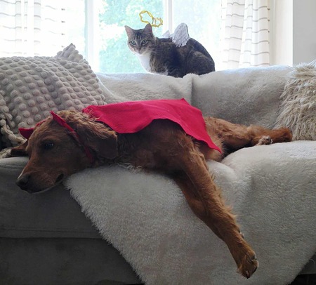 Finley and Juilet-Boots