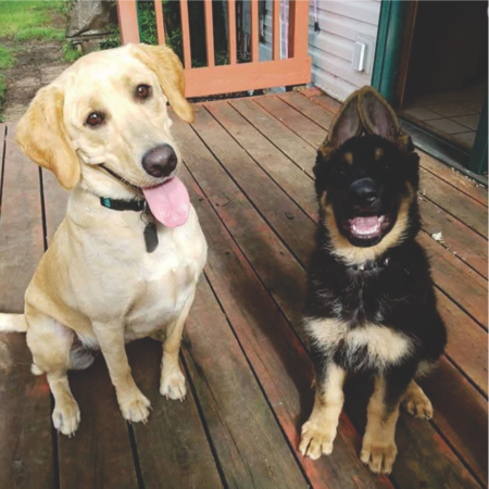 Doctor Indiana Bones (the one with the goofy ears!) and his girlfriend Ellie Mae