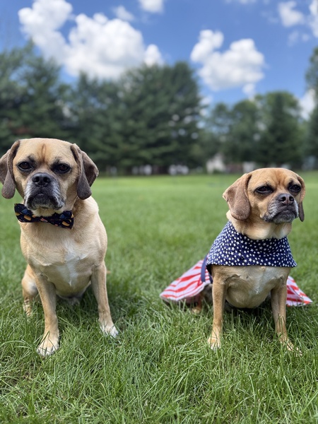 Harper & Riley