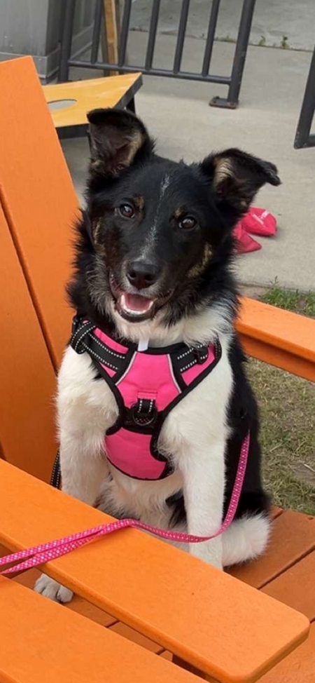 Penny