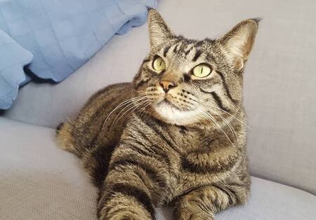Eddy