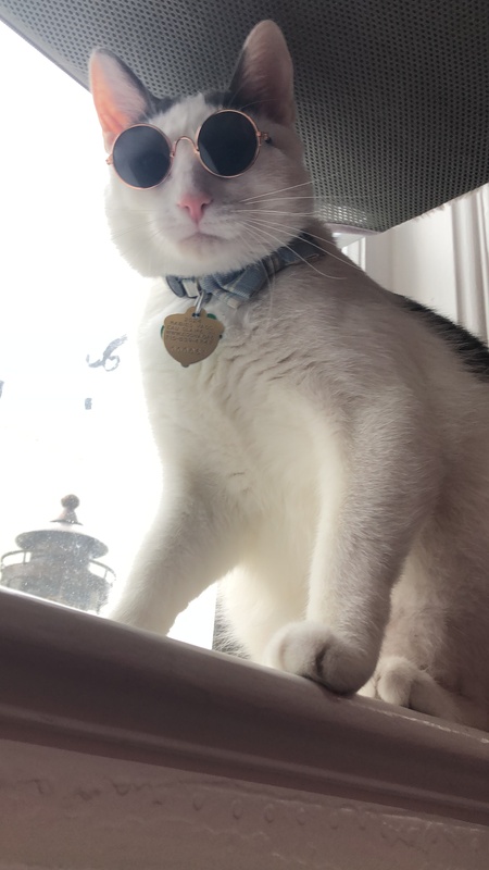 Theo