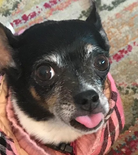 Peanut