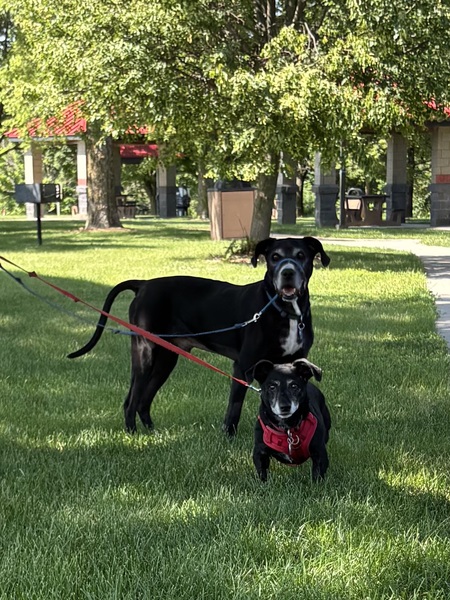 Axel and his “mini-me” Jack