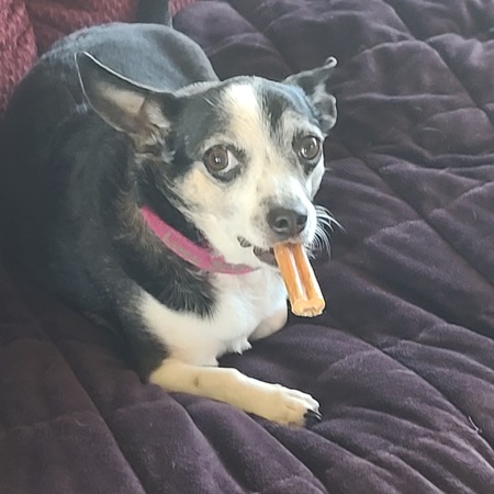 Lucy "Laverne"